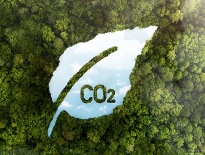 What Are Low Emission Zones and Why Do We Need Them?