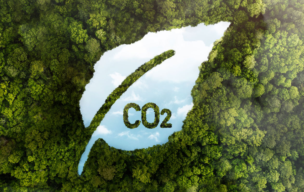 What Are Low Emission Zones and Why Do We Need Them?